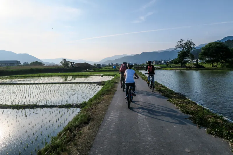 Two Wheels, Zero Crowds: Pedaling Through Nogata's Forgotten Back Roads