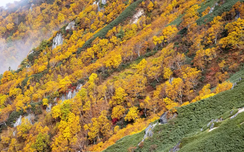 Four Seasons, One Region: Your Year-Round Outdoor Playbook for Nogata